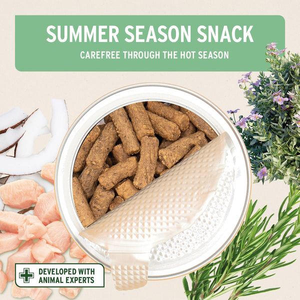 Aniforte Summer Season Snack