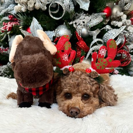 Tall Tails Plush Animated Moose Toy