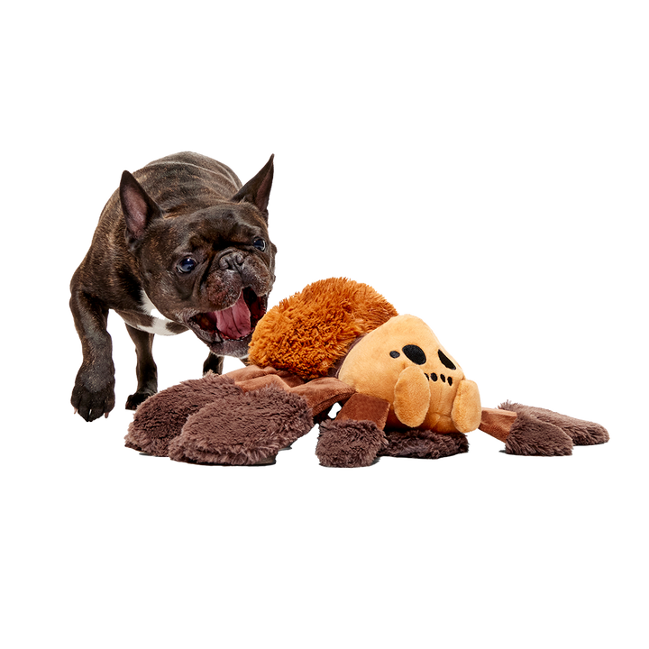 Bark Harry Potter Aragog