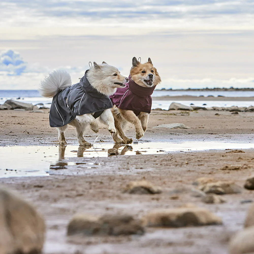 Hurtta Mudventure Coat ECO Blackberry