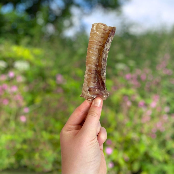 Paddock Farm Beef Trachea 12cm 1KG