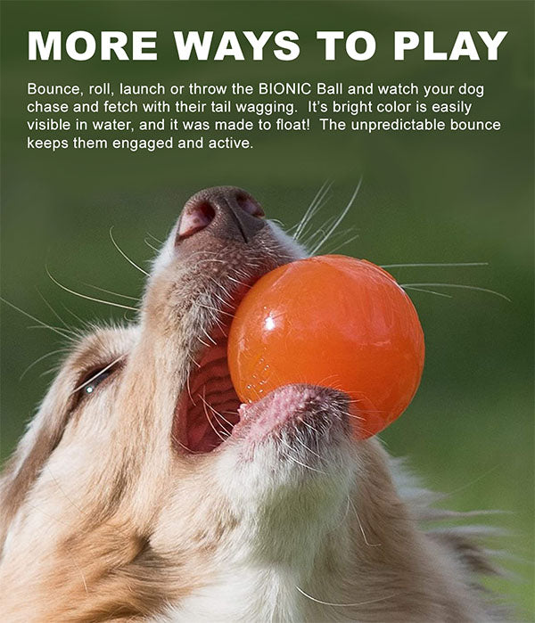 BIONIC BALL