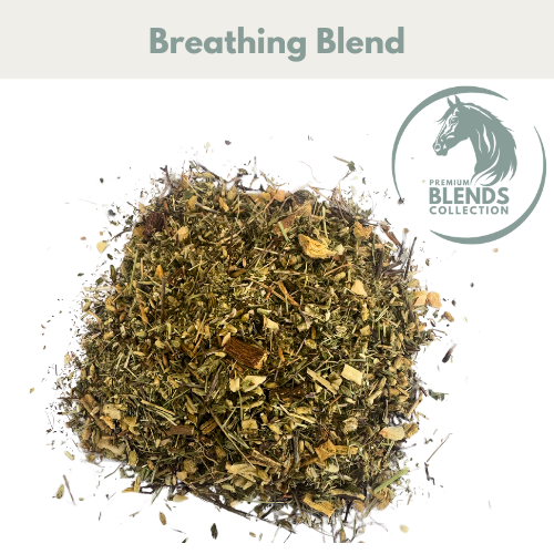 Horse Straights Direct Breathing Blend 1kg