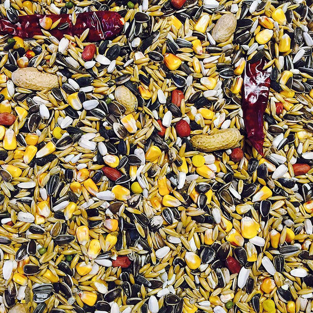 Bucktons No1 Parrot Food 3Kg