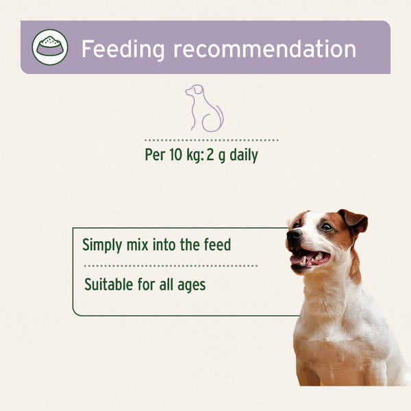 Aniforte Calm &amp; Relax Powder for Dogs - 100g