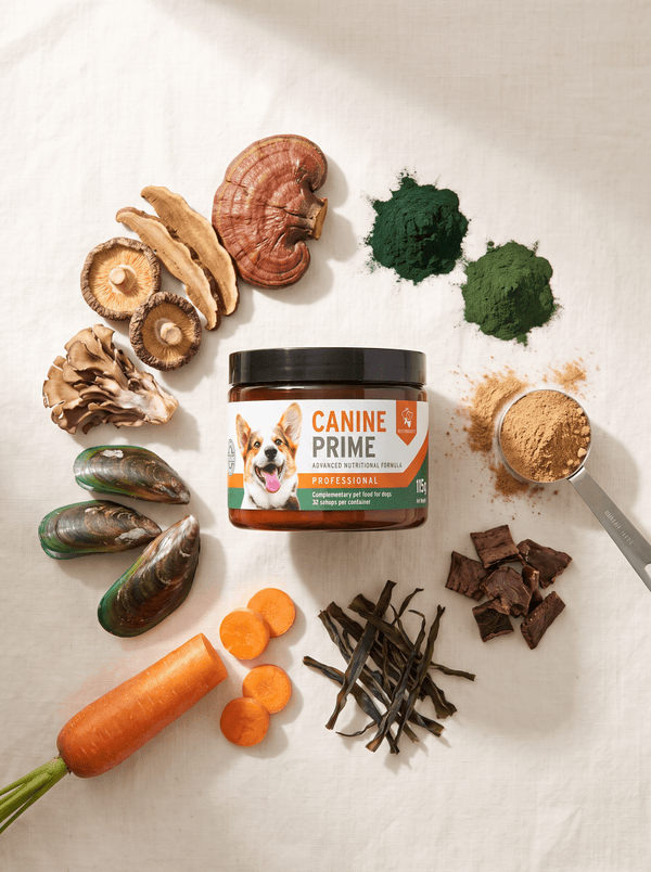 Aniforte Canine Prime 115g