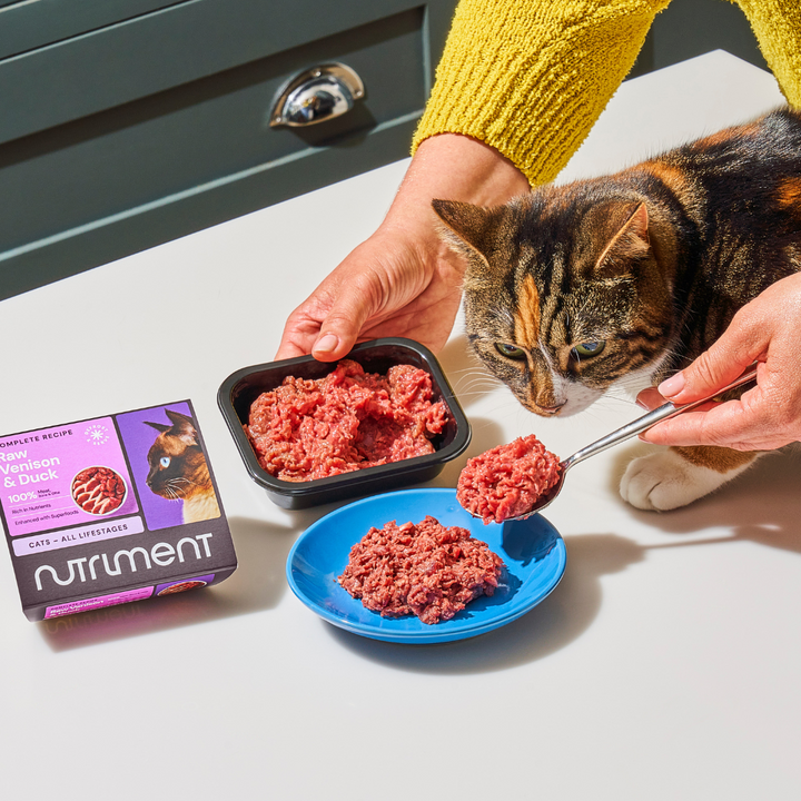 Nutriment Dinner for Cats Beef Cat Dinner 175g