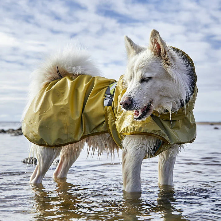 Hurtta Mudventure Reflective Coat Turmeric