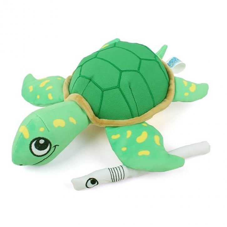 Coolpet Shelldon The Turtle