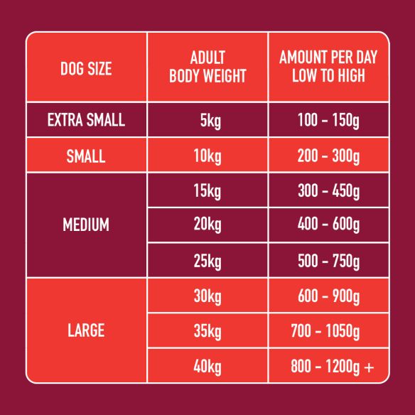 Nutriment Dog Adult Beef Formula 500g