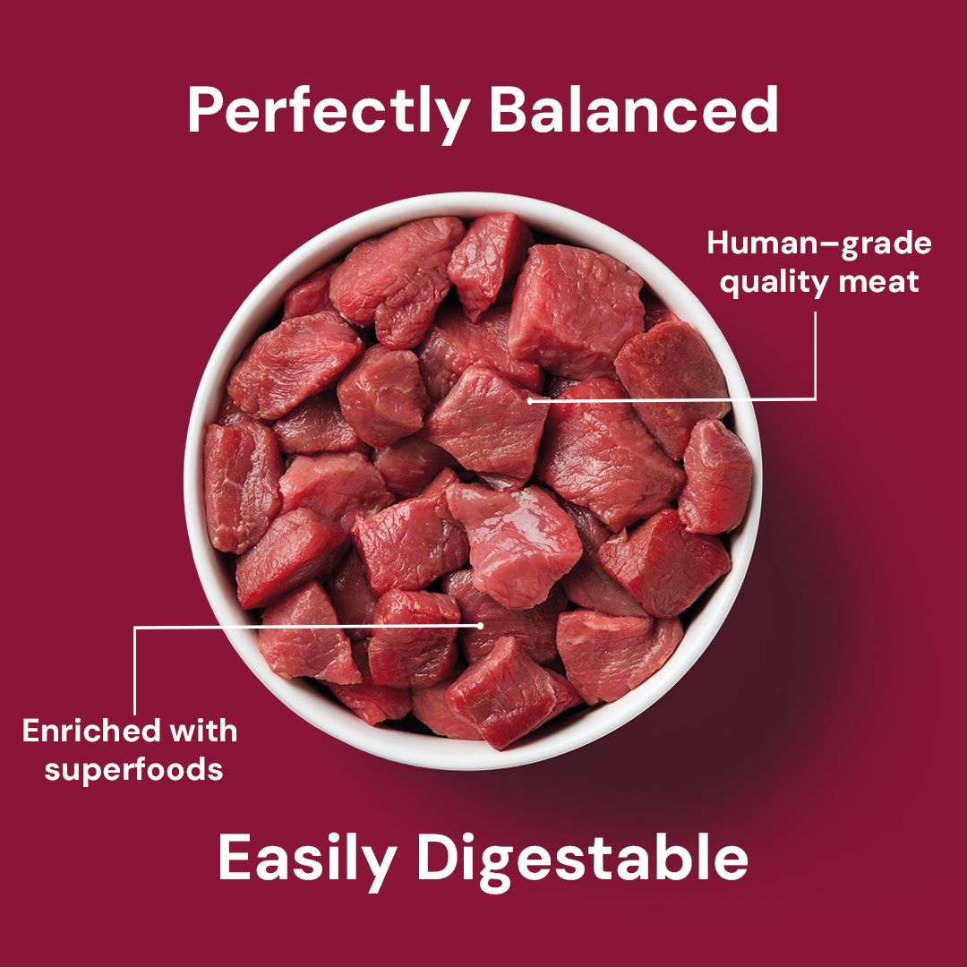 Nutriment Dinner for Cats Beef Cat Dinner 175g