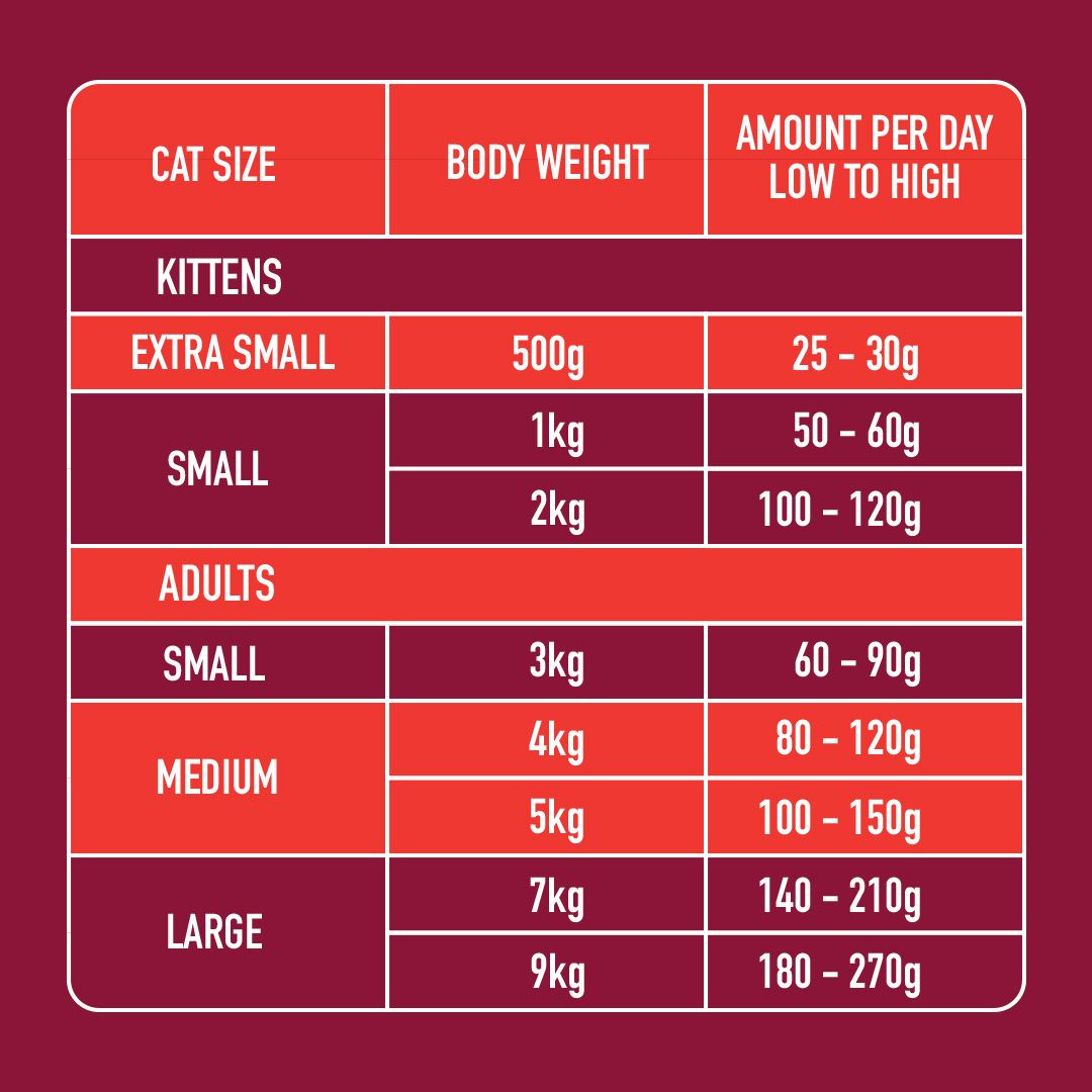 Nutriment Dinner for Cats Beef Cat Dinner 175g