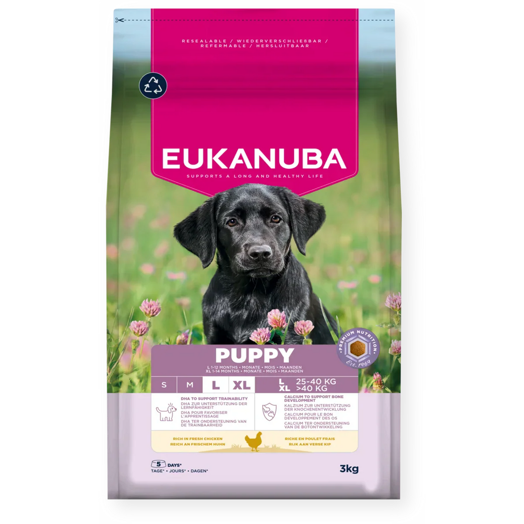 Eukanuba Puppy Large Breed Chicken 3Kg