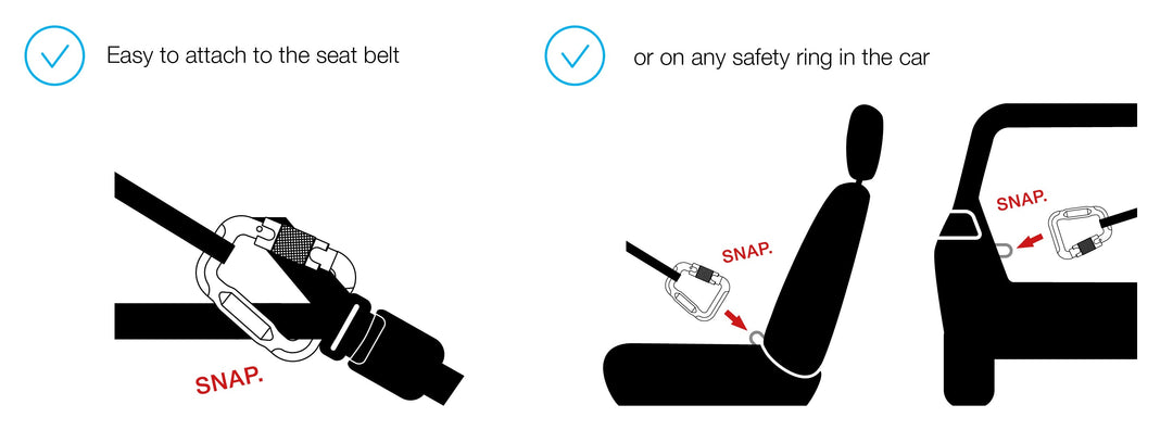 Curli Car Dog Safety Belt 30cm