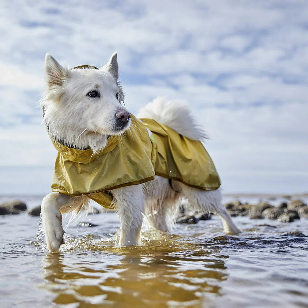 Hurtta Mudventure Reflective Coat Turmeric