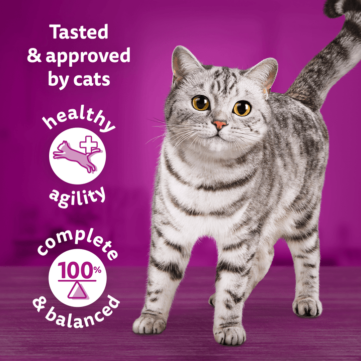 Whiskas 1+ Chef's Choice Mix Adult Wet Cat Food Pouches in Gravy 40x85g