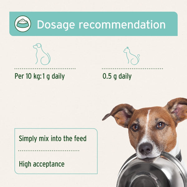 Aniforte Dental Powder for Dogs and Cats