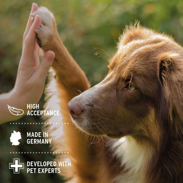 Aniforte Dental Powder for Dogs and Cats