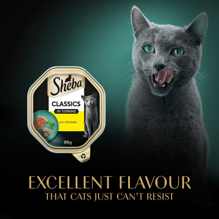 SHEBA Classics Adult Cat Food with Chicken in Terrine Tray 22x85g