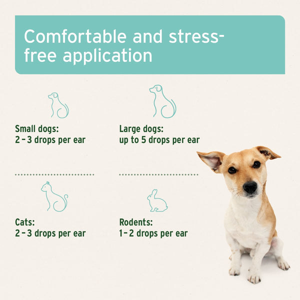 Aniforte Ear Mite Treatment Oil Drops