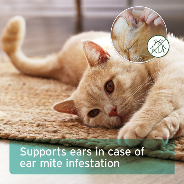 Aniforte Ear Mite Treatment Oil Drops