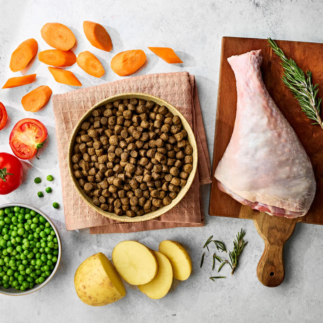 Naturo Turkey with Potato & Vegetables Dry Dog Food