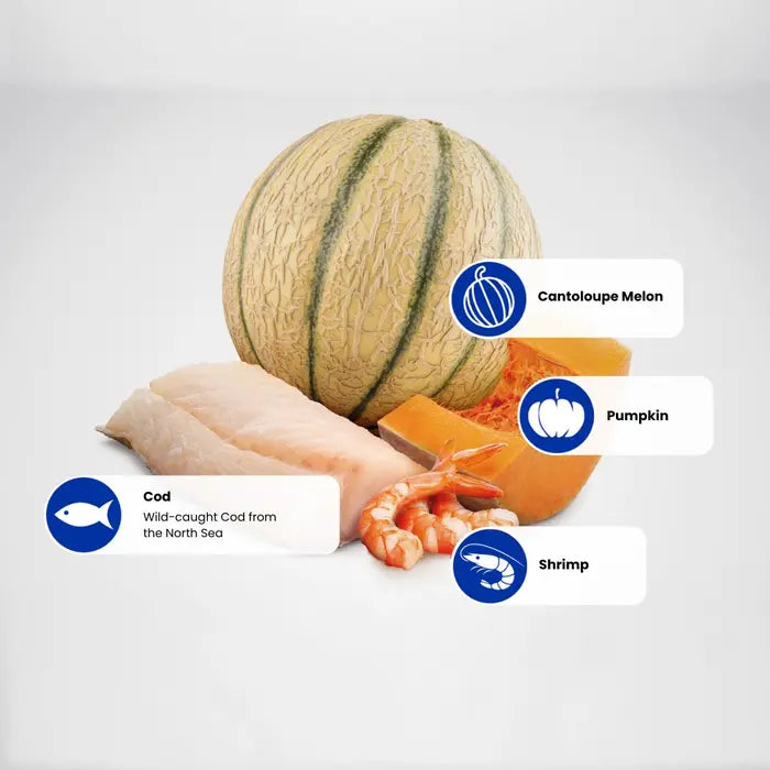 N&D Ocean Cat Cod. Shrimp. Pumpkin & Cantaloupe Melon Kitten 1.5kg