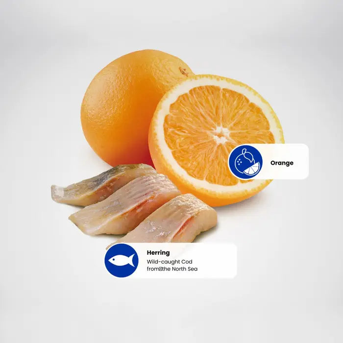 N&D Ocean Cat Herring & Orange Adult 1.5kg