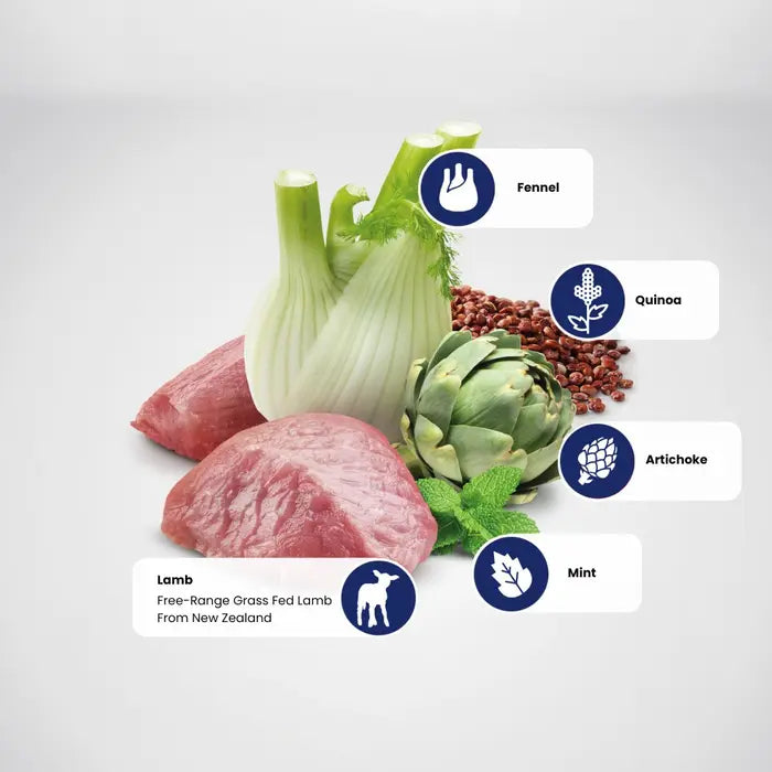 N&D Quinoa Cat Digestion Lamb & Fennel Adult