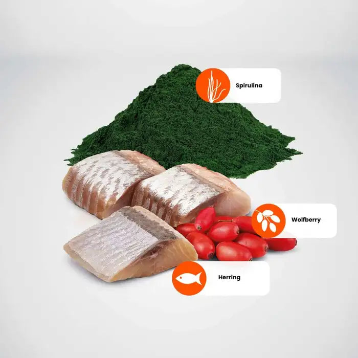 N&D Spirulina Herring Adult