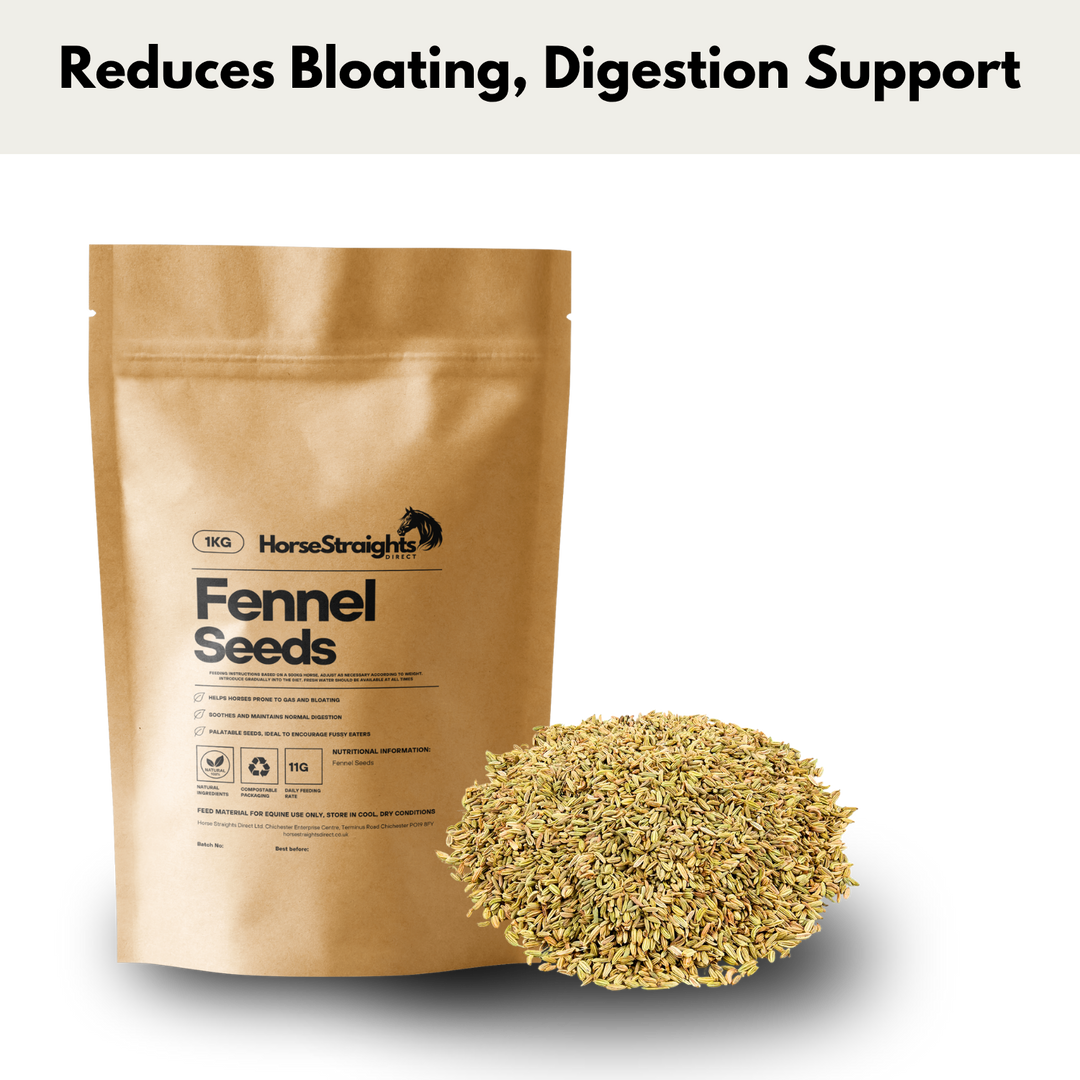 Horse Straights Direct Fennel Seeds 1kg
