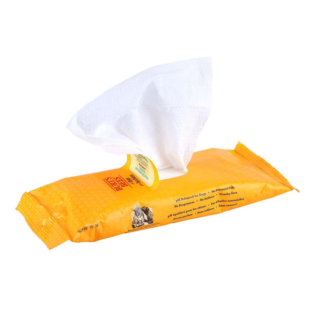 Burts Bees Multipurpose Wipes With Honey 50 Wipes