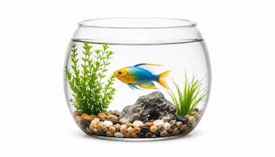 AQUARIUM