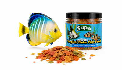 FISH FOOD