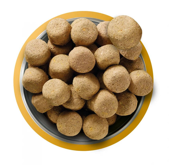 Natures Menu 80/20 Chicken Freeze Dried 120g - Ormskirk Pets