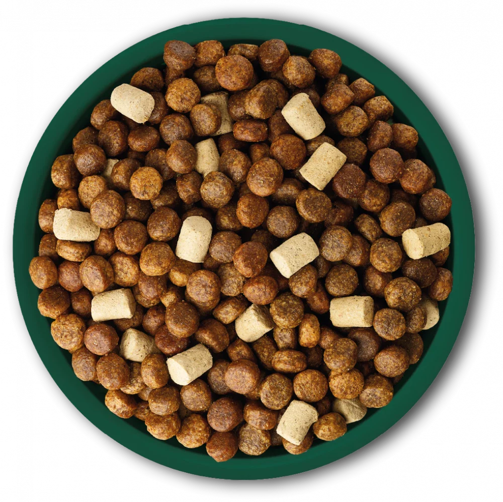 Natures Menu Raw Boost Grain Free With Pork and Lamb For Adult Dogs