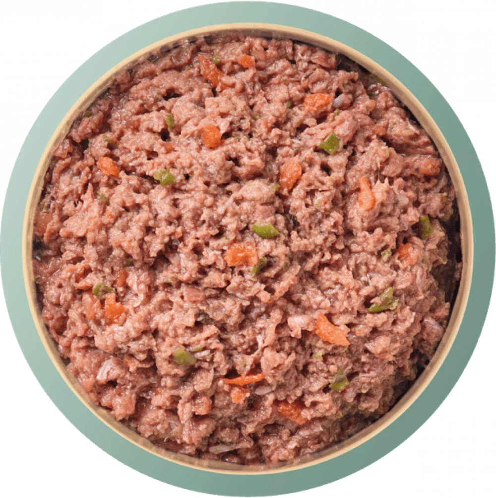Natures Menu Complete & Balanced Raw Duck For Adult Dogs 500g