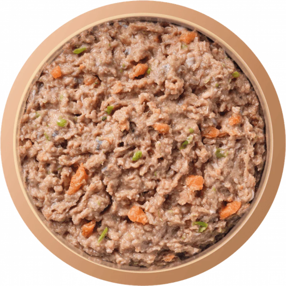 Natures Menu Complete & Balanced Raw Salmon & Chicken For Adult Dogs 500g
