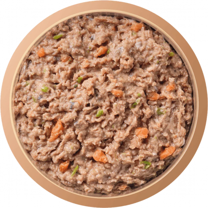 Natures Menu Complete & Balanced Raw Salmon & Chicken For Adult Dogs 500g