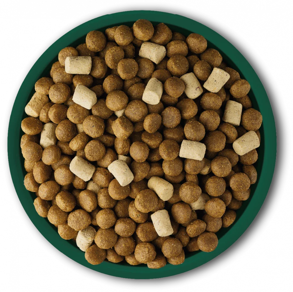 Natures Menu Raw Boost With Beef For Adult Dogs