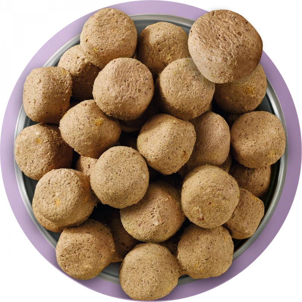 Natures Menu 80/20 TURKEY Freeze Dried 625g