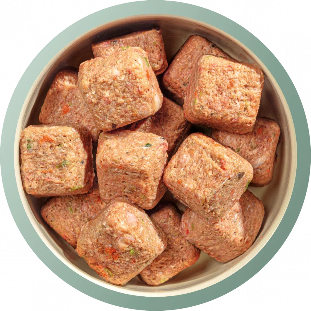 Natures Menu 80/20 Complete and Balanced Duck and Chicken Raw Nuggets 1kg