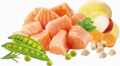 Natures Menu High In Meat Dry Cat Food No Grain With Salmon