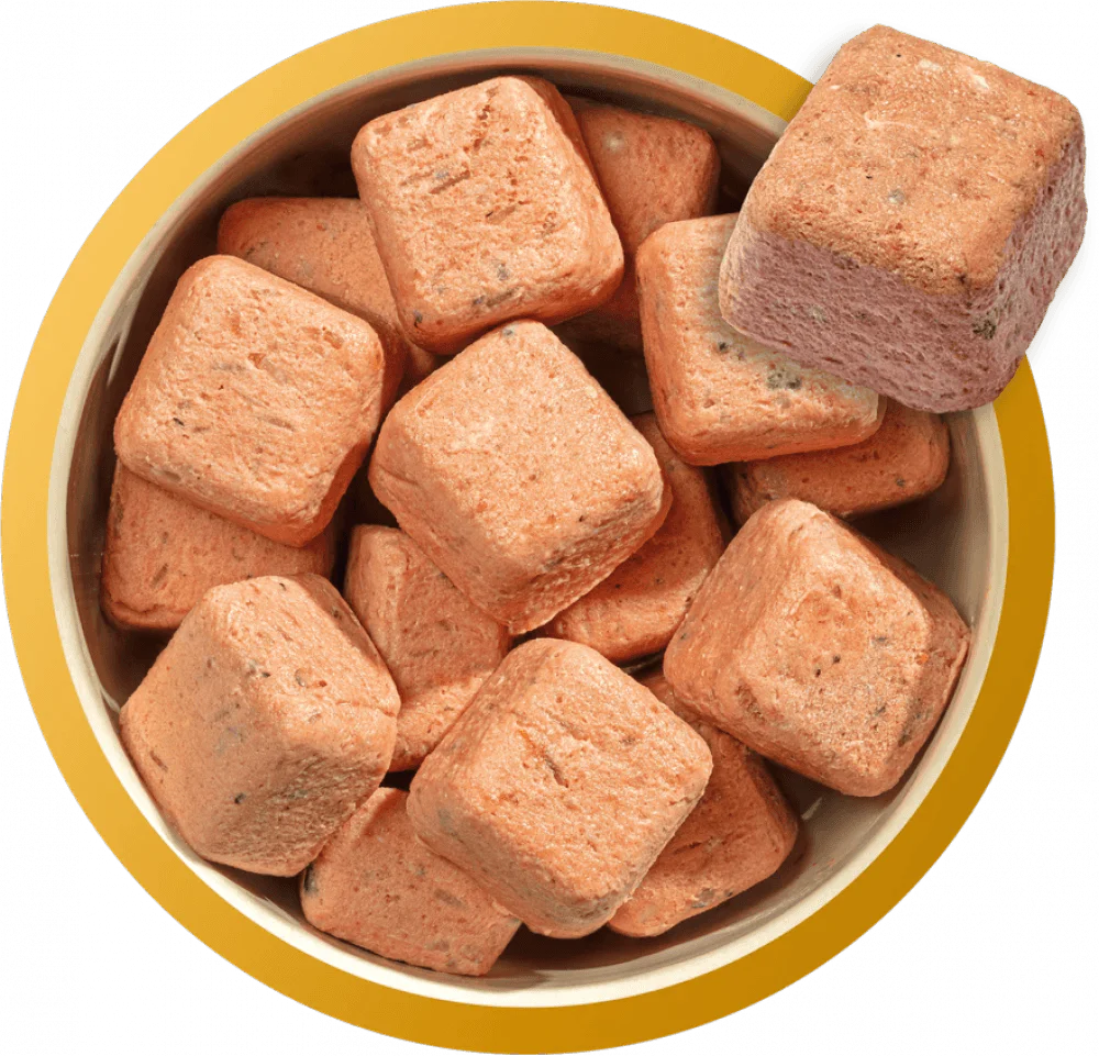 Natures Menu 80/20 Puppy Chicken Nuggets with Salmon and Brown Rice 1kg - Ormskirk Pets