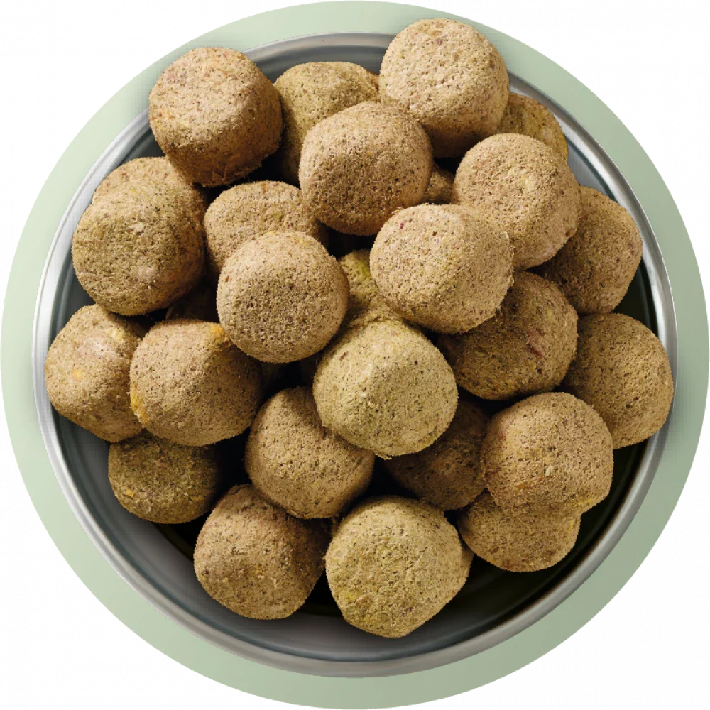 Natures Menu 80/20 LAMB Freeze Dried 625g