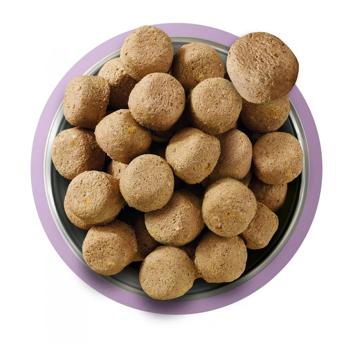 Natures Menu 80/20 Turkey Freeze Dried 250g - Ormskirk Pets