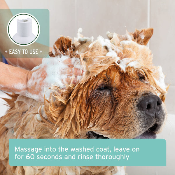 Aniforte Fur Harmony Coconut Shampoo for Dogs - 200ml