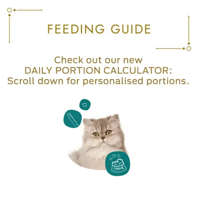 Gourmet Revelations Gelee Salmon Fine Cuts in Jelly Wet Cat Food 4x57g