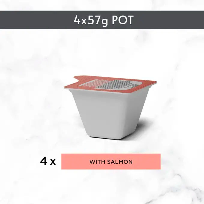 Gourmet Revelations Gelee Salmon Fine Cuts in Jelly Wet Cat Food 4x57g