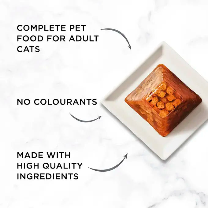 Gourmet Revelations Gelee Salmon Fine Cuts in Jelly Wet Cat Food 4x57g